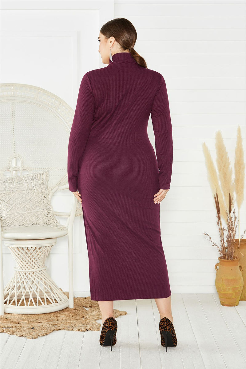 Plus Size Split Button Sweater Dress